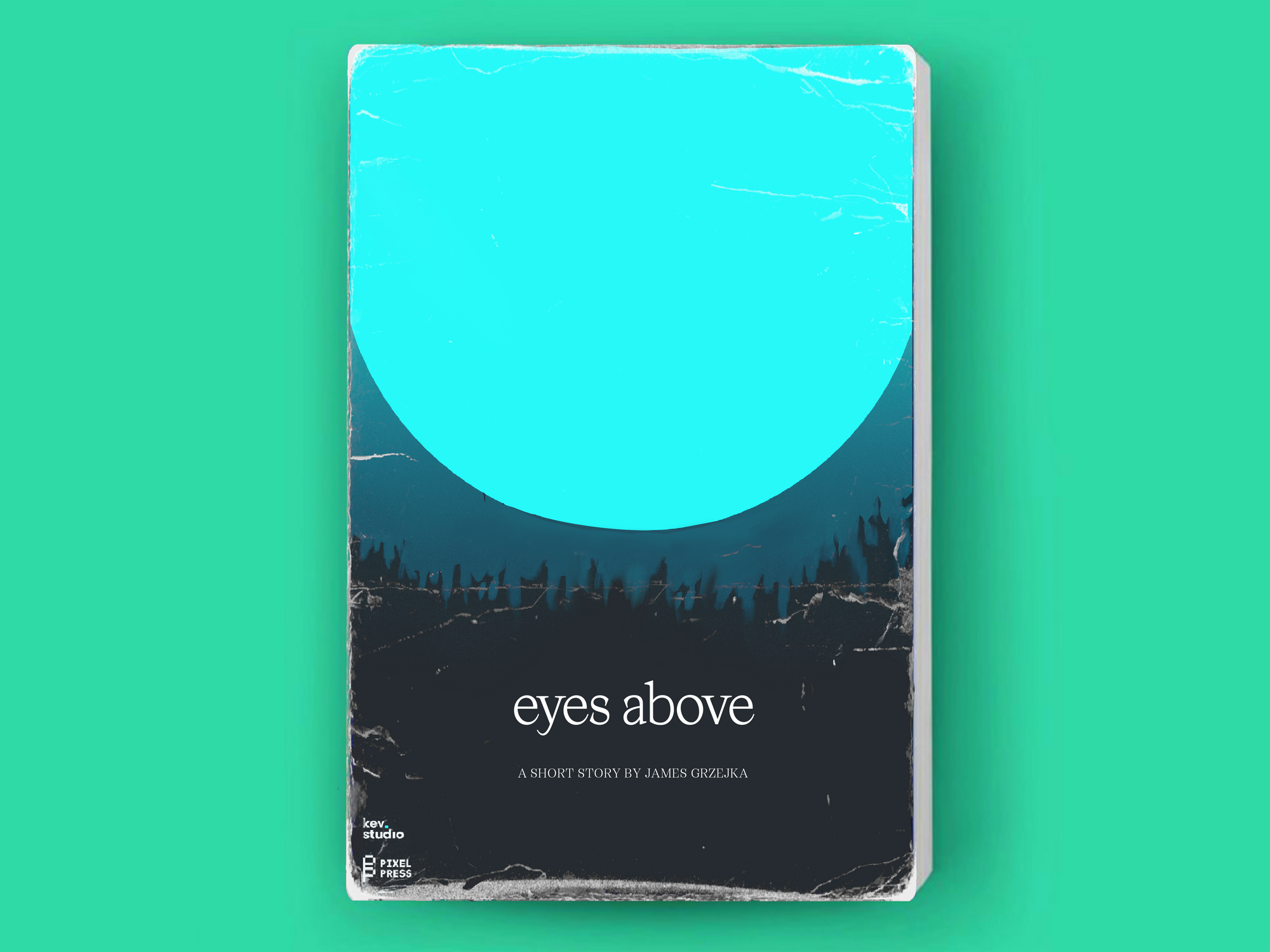 Eyes Above story book