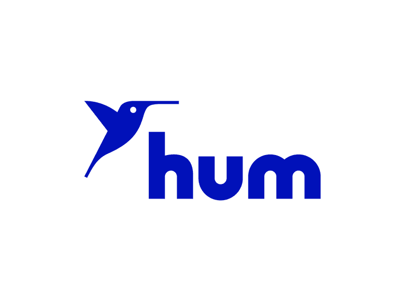 Hum Capital branding and digital experience