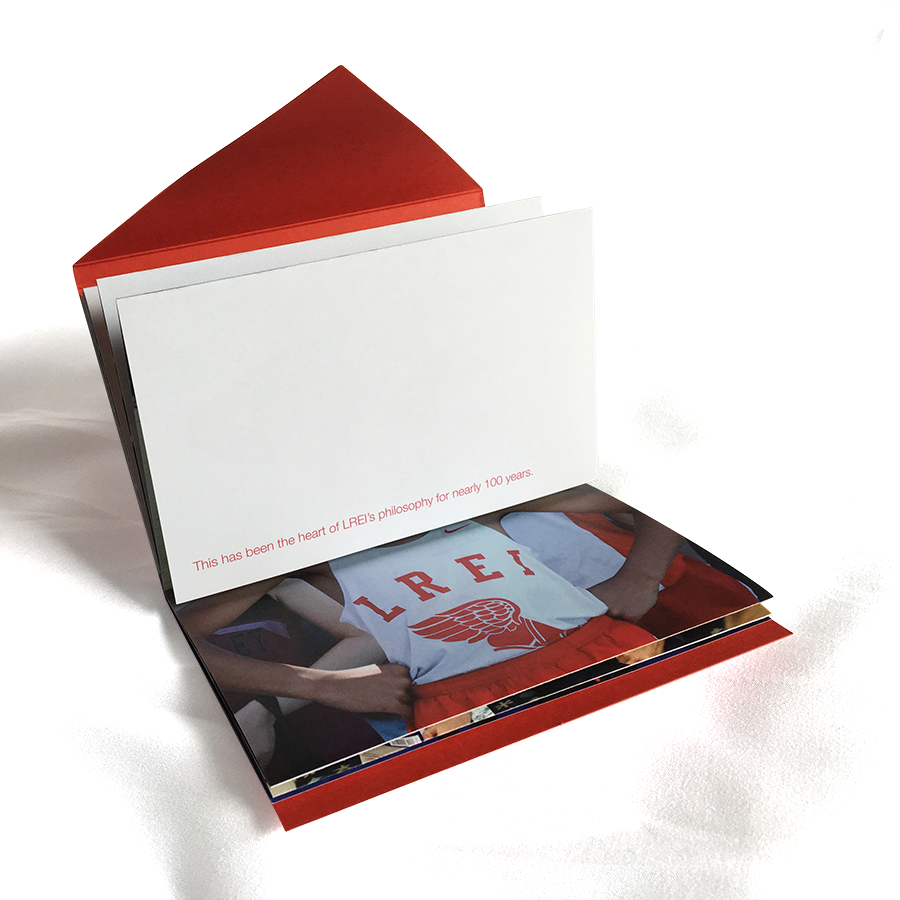 LREI viewbook visual storytelling